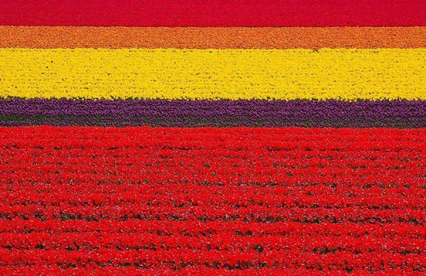 27 невероятных мест, которые обязательно нужно увидеть воочию 27 невероятных мест, которые обязательно нужно увидеть воочию
