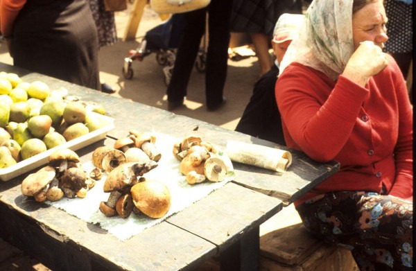 Москва &mdash; Сибирь &mdash; Япония в 1980 году